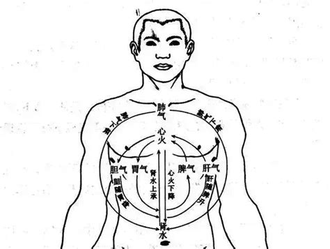 左血右氣|在中医上，人的身体为什么左边行气，右边行血